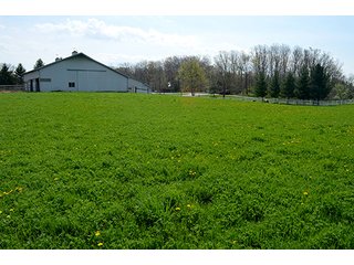 Property photo 116 - REAL ESTATE & PERSONAL PROPERTY AUCTION - 23.5+/- ACRES OFFERED IN 3 TRACTS OR COMBINATIONS IN EAST ALLEN COUNTY